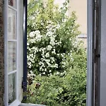 Grange Bleuet Couette-café Aubeterre-sur-Dronne